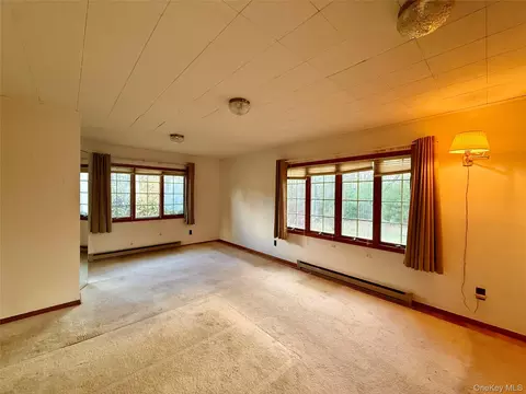 Living - 110 Eldred Yulan Rd, Highland, NY 12732 photo 4 of 4
