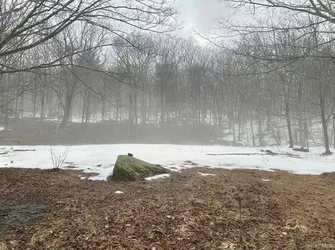 804 Hearts Content Rd, Cairo, NY 12413