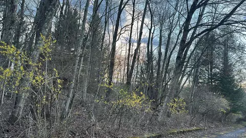 tbd Diane Blvd, Fallsburg, NY 12789