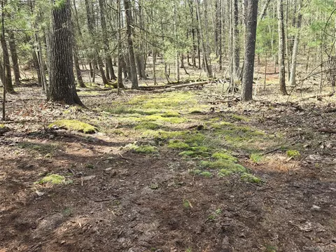lot5 Evergreen Dr, Saugerties, NY 12477
