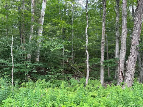 Frrost Valley Road, Denning, NY 12725
