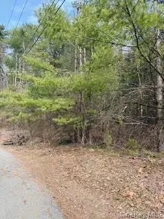 1304 Us Route 209, Deerpark, NY 12729