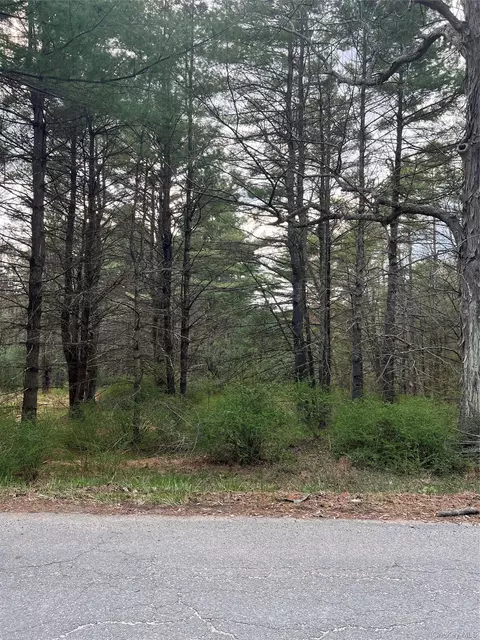 00 Upper Pine Kill Rd, Mamakating, NY 12790