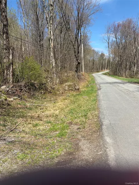 209 Stream Holw, Fallsburg, NY 12428