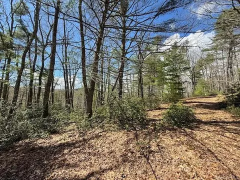 lot73 9 Pine Rd, Lumberland, NY 12737