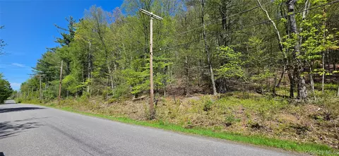 Hamilton Road, Thompson, NY 12701