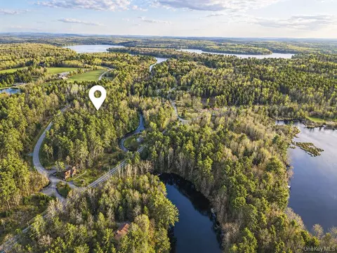 Chapin Trail, Bethel, NY 12786