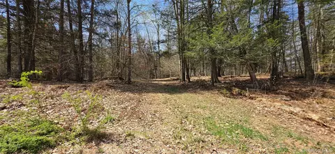 lot12 Tyler Rd, Cochecton, NY 12726