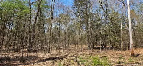 lot13 Tyler Rd, Cochecton, NY 12726