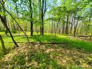 tbd Piney Ln, Wawarsing, NY 12420