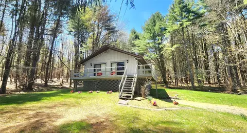 156 Creamery Rd #TR20, Swan Lake, NY 12783