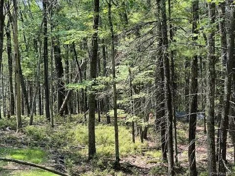 lot18 Hunczak Blvd, Lumberland, NY 12737