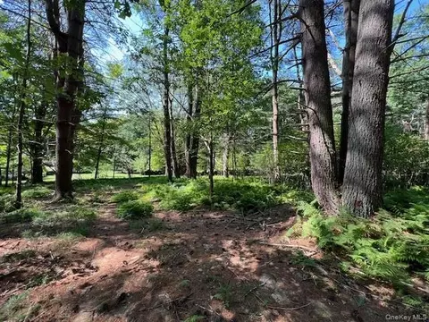 lot47 3 High Rd, Lumberland, NY 12737