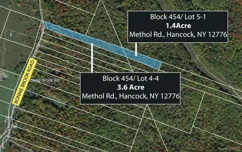Methol Road, Hancock, NY 12776