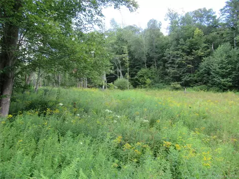 tbd Ferndale Rd, Liberty, NY 12734