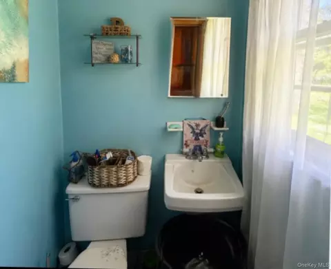 Bath - 63 Wheaton Ave, Fishkill, NY 12524 photo 2 of 2