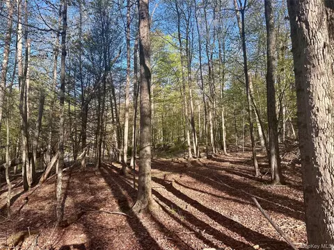 0 Lot Cross Patch Rd, Woodstock, NY 12495 photo 11