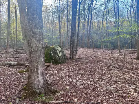 0 Lot Cross Patch Rd, Woodstock, NY 12495 photo 8