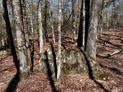 0 Lot Cross Patch Rd, Woodstock, NY 12495 photo 5