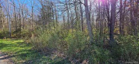 lot70 Cushetunk Dr, Cochecton, NY 12726