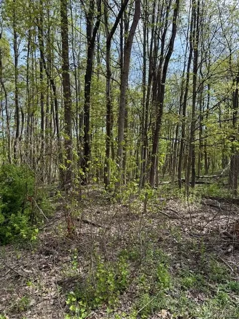 Route 300, Newburgh Town, NY 12550