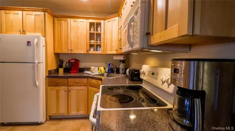 Other - 1029 Spring Brook Estates Rd, Colchester, NY 12776 photo 7 of 23