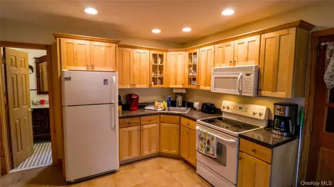 Kitchen - 1029 Spring Brook Estates Rd, Colchester, NY 12776 photo 1 of 3