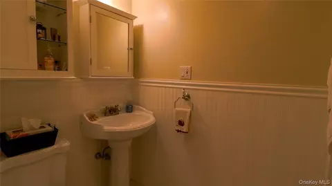 Bath - 1029 Spring Brook Estates Rd, Colchester, NY 12776 photo 3 of 4