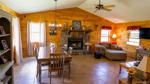 Other - 1029 Spring Brook Estates Rd, Colchester, NY 12776 photo 4 of 23