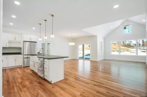 Living - 16 Bear Hollow Ln, Hyde Park, NY 12538 photo 1 of 4