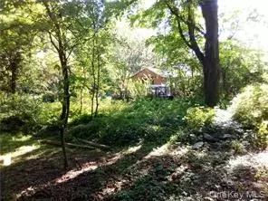 71 Honeywell Ln, Hyde Park, NY 12538