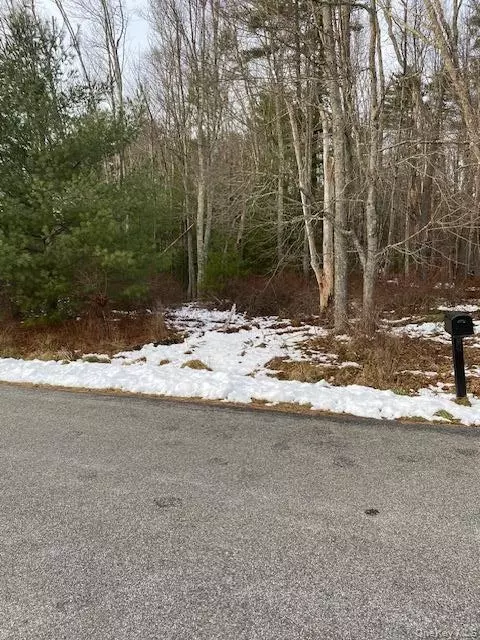 lot114 Old Congress Rd, Thompson, NY 12701