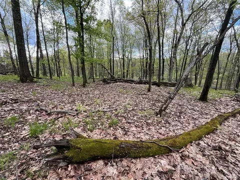 Cold Spring Road, Milan, NY 12514 photo 2