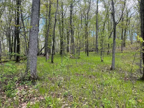 Cold Spring Road, Milan, NY 12514 photo 4
