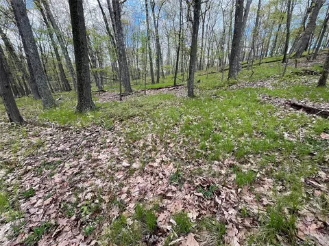 Cold Spring Road, Milan, NY 12514 photo 3
