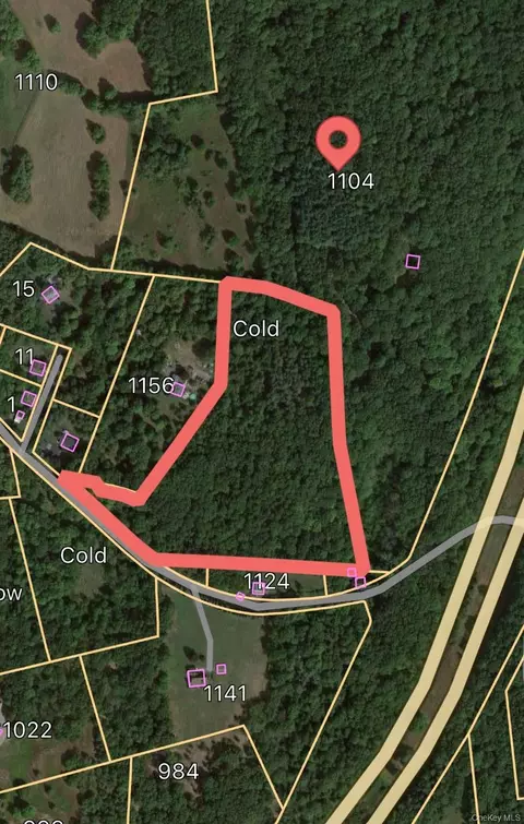 Cold Spring Road, Milan, NY 12514 photo 8