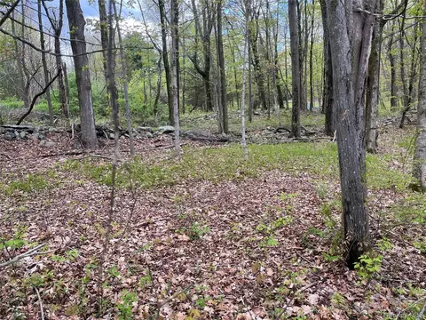 Cold Spring Road, Milan, NY 12514 photo 5