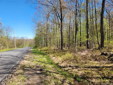 lot34 Lenni Lenape Rd, Cochecton, NY 12726