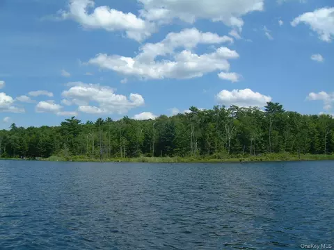 Browning Boulevard, Highland, NY 12719