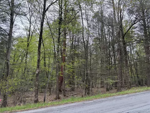 Braden Road, Wawarsing, NY 12763