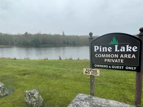 lot Apt 20 Pine Lake Dr, Mamakating, NY 12790