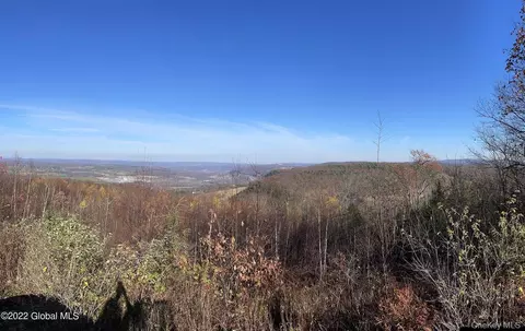 L26 & L27 Ecker Hollow Road, Cobleskill, NY 12043