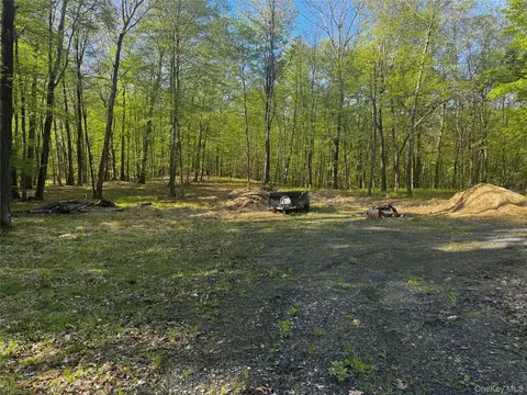 Hall Hill Road, Ancram, NY 12502