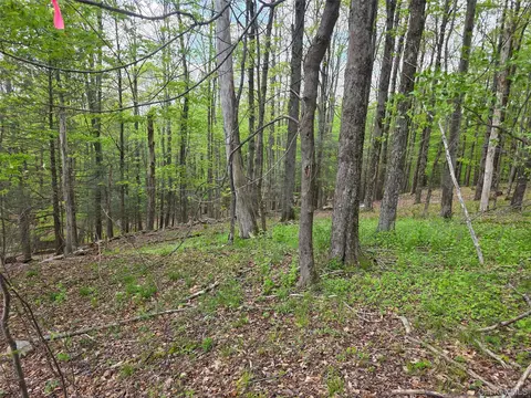 Wade Road, Fallsburg, NY 12733