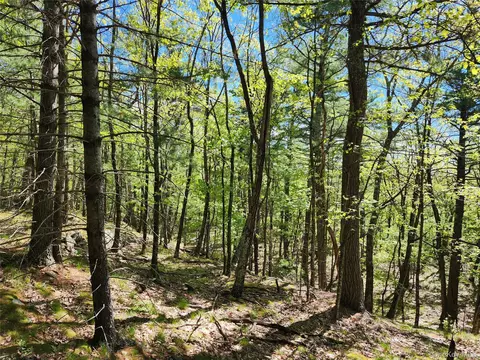 tbd Upper Samsonville Rd, Olive, NY 12461 photo 12