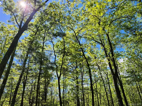 tbd Upper Samsonville Rd, Olive, NY 12461 photo 15
