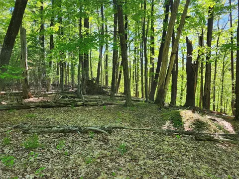 tbd Upper Samsonville Rd, Olive, NY 12461 photo 7