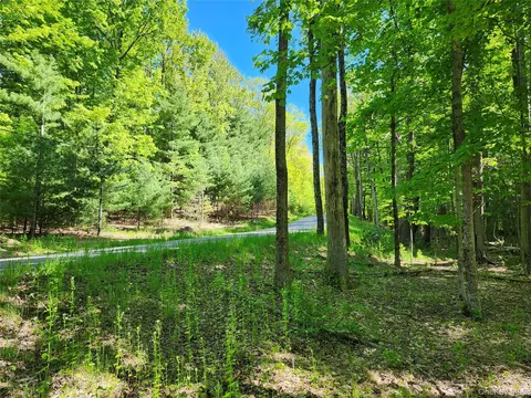 tbd Upper Samsonville Rd, Olive, NY 12461 photo 8