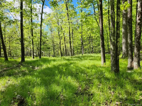 tbd Upper Samsonville Rd, Olive, NY 12461 photo 2