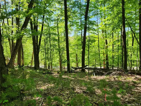 tbd Upper Samsonville Rd, Olive, NY 12461 photo 3